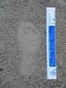 footprint_ruler