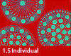 1_5